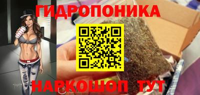 мдма Новозыбков
