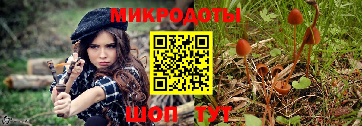 Псилоцибиновые грибы Psilocybe  Вход с VPN  Галлюциногенные грибы GOLDEN TEACHER  Ржев 