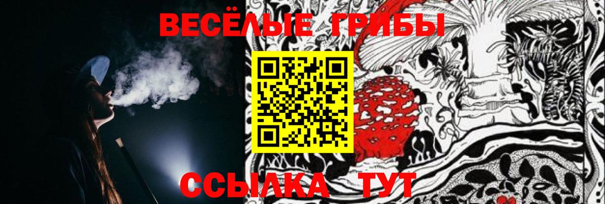 Галлюциногенные грибы прущие грибы Ржев