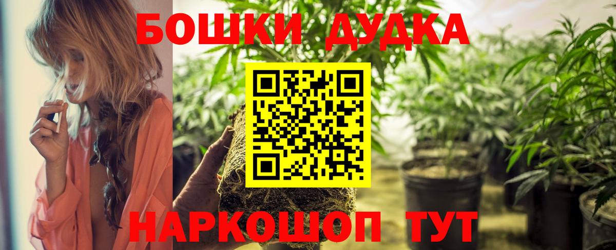 Шишки марихуана Amnesia Ржев
